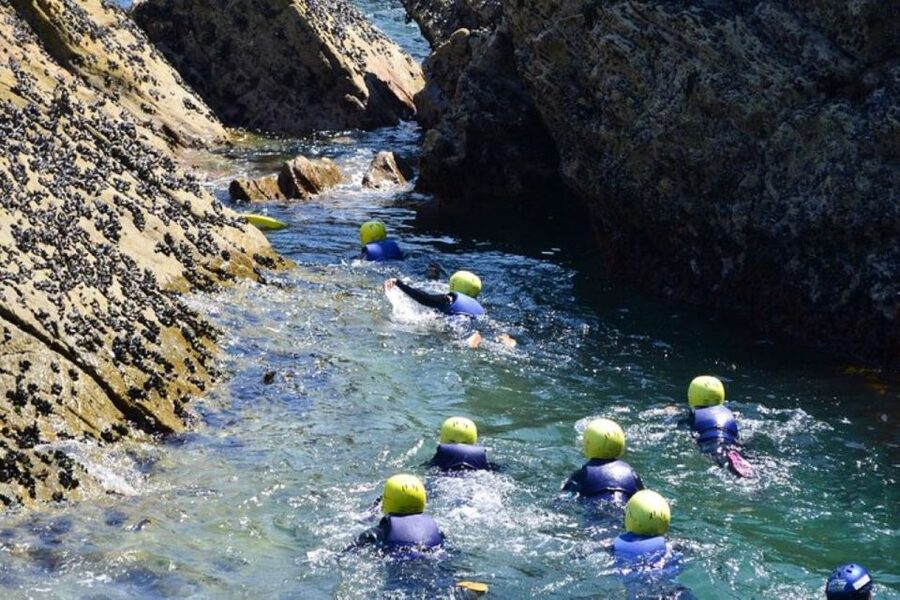 Newquay: Coasteering - Wildlife Spotting and Coastal Heritage That Actually Adds Meaning