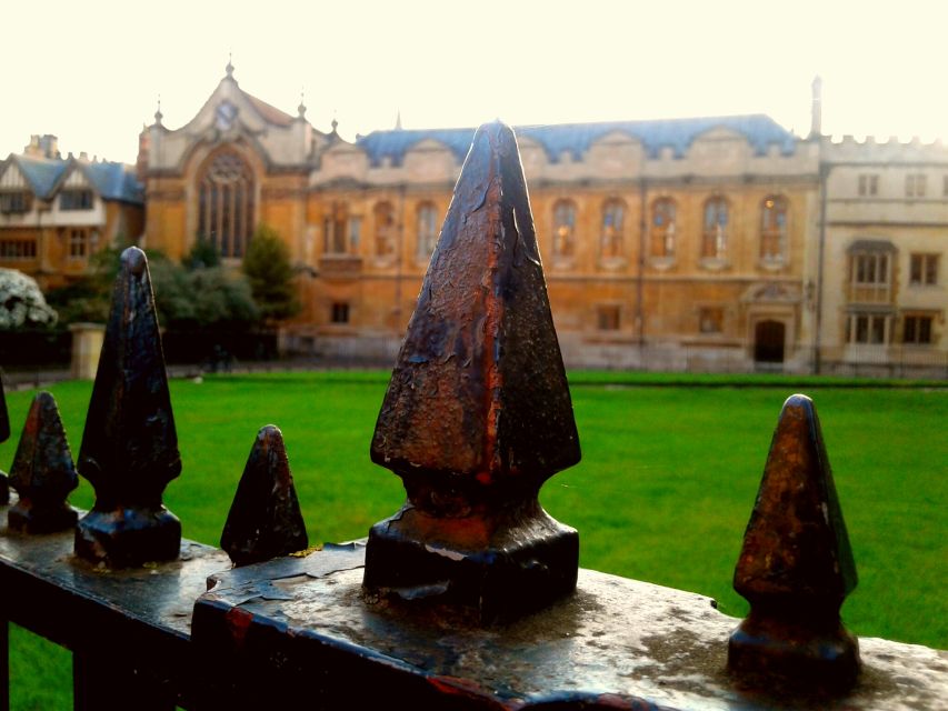Oxford: Harry Potter Insights Divinity School Group Tour - Where Oxford Turns into Hogwarts in 105 Minutes
