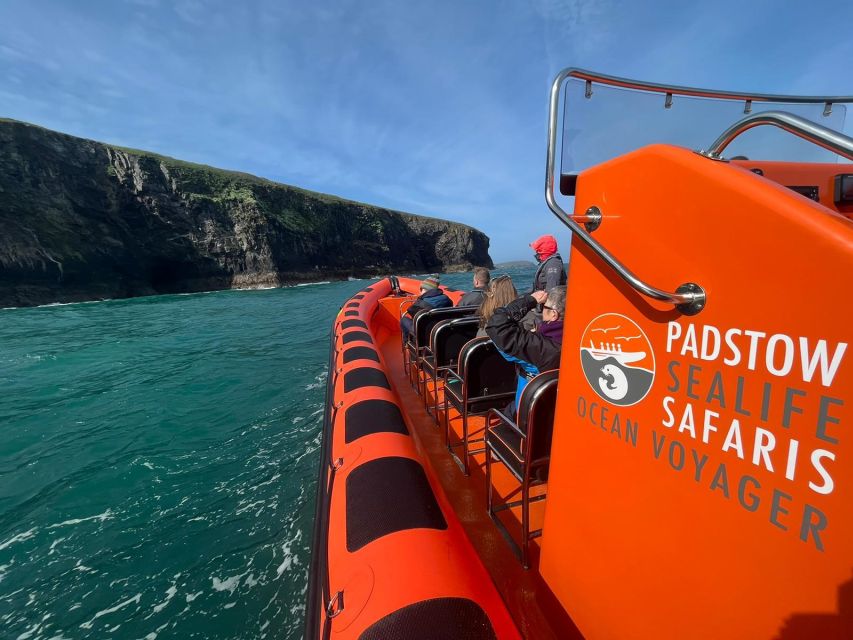 Padstow: Guided RIB Sealife Safari - Practical Tips: What to Bring and How to Handle the Wet, Fast Ride