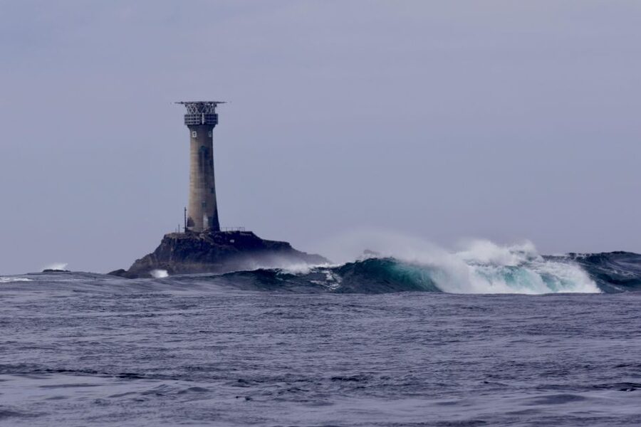 Penzance: Land's End Boat Tour with Wildlife Guides - RIB speed and wildlife guides: what makes this tour special