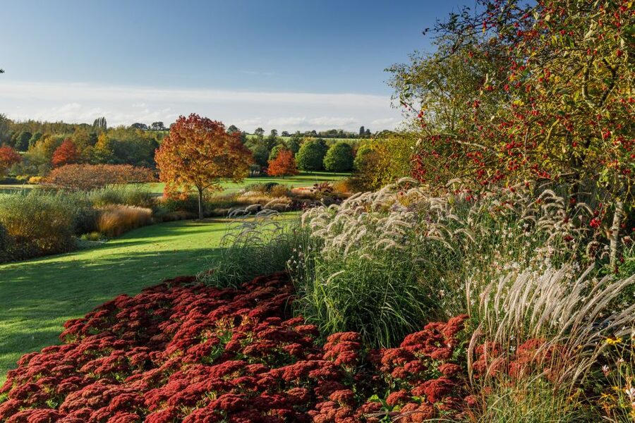 Royal Horticultural Society: Hyde Hall Garden Ticket - How RHS Garden Hyde Hall feels, from the first steps