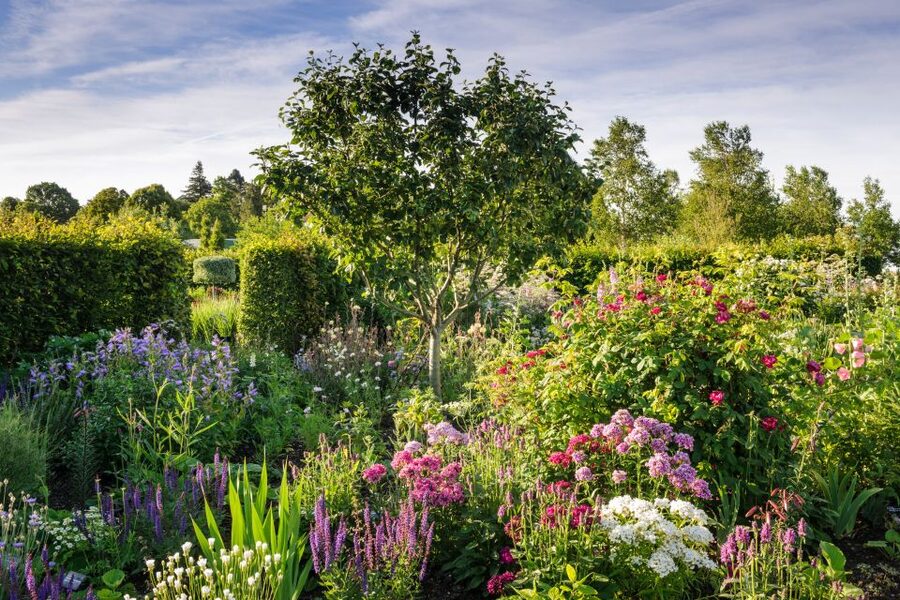 Royal Horticultural Society: Hyde Hall Garden Ticket - Global Growth Vegetable Garden: where food is part of the experience