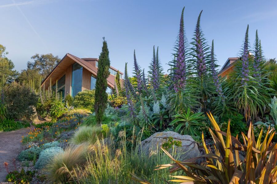 Royal Horticultural Society: Hyde Hall Garden Ticket - Food, parking, and the extra comforts that matter