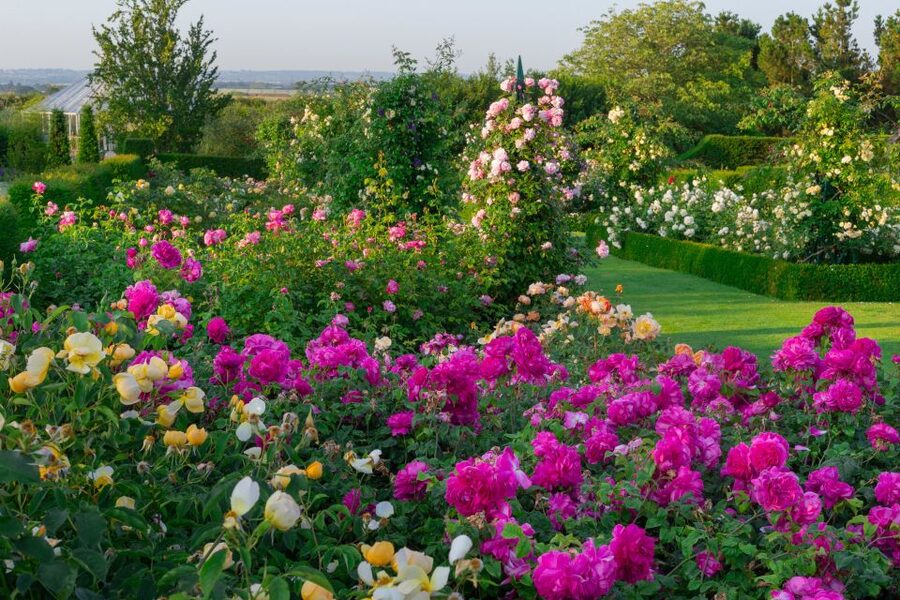 Royal Horticultural Society: Hyde Hall Garden Ticket - Price and value: is the Hyde Hall ticket worth about $17?