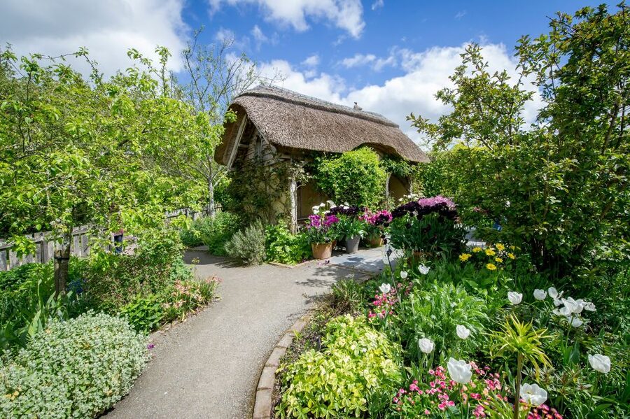 Royal Horticultural Society: Rosemoor Garden Ticket - A 65-acre rose day in the Torridge Valley