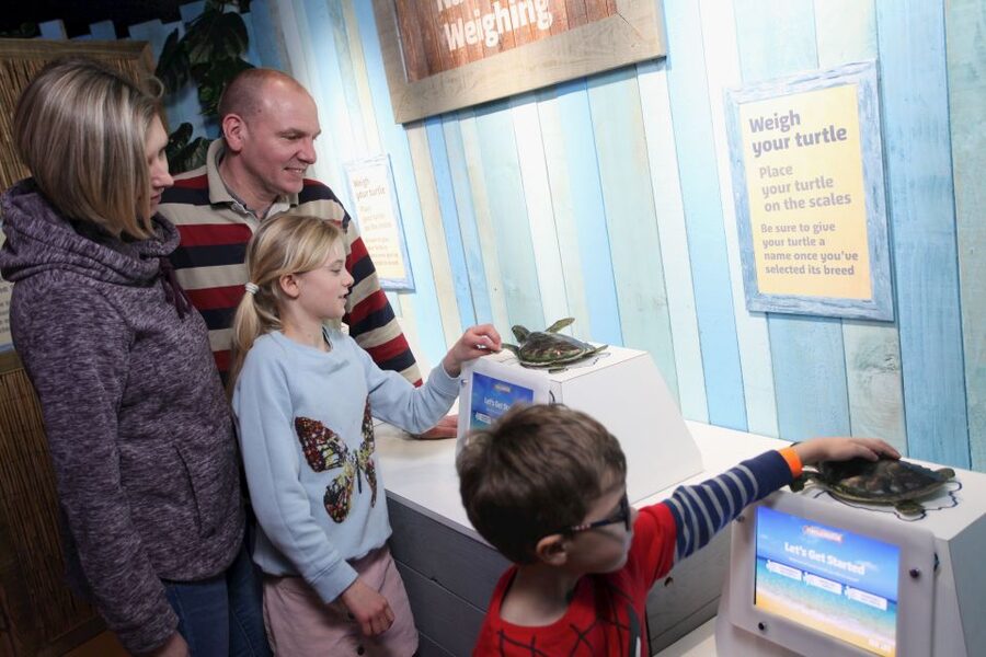 SEA LIFE Blackpool Entrance Ticket - What the SEA LIFE Blackpool Entrance Ticket Gets You