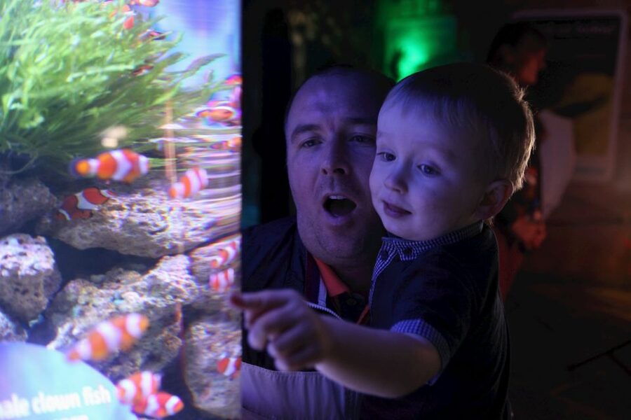 SEA LIFE Blackpool Entrance Ticket - Underwater Tunnel and the Shark Overhead Moment