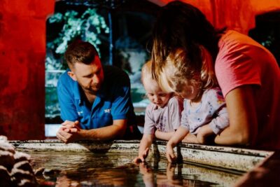Sea Life Brighton Admission Ticket