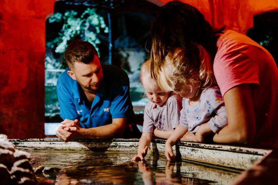 Sea Life Brighton Admission Ticket - Planning Your Visit Around Quieter Hours and Better Flow