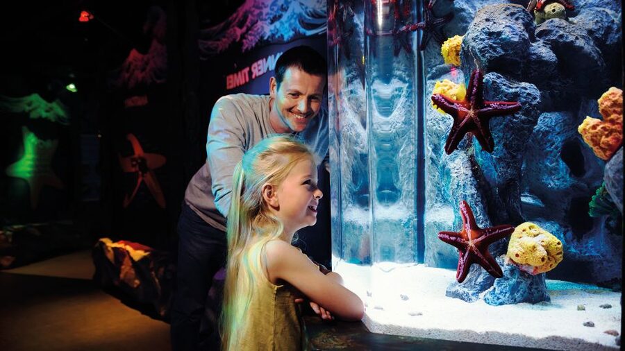 SEA LIFE London & DreamWorks Shrek's Adventure: Combo Ticket - Small but important rules that affect your day