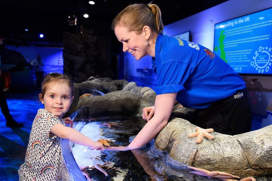 SEA LIFE London & DreamWorks Shrek's Adventure: Combo Ticket - Who should book this combo, and who might skip it