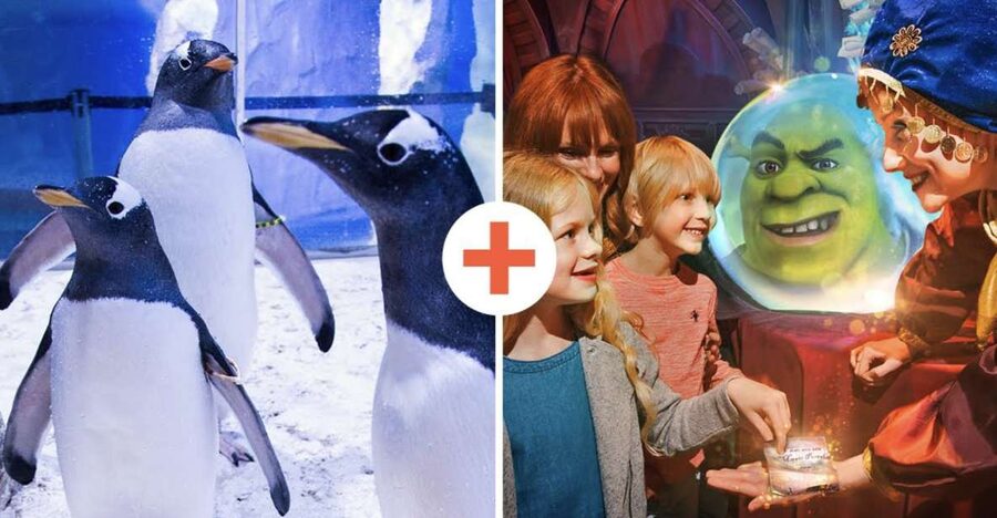 SEA LIFE London & DreamWorks Shrek's Adventure: Combo Ticket - SEA LIFE London: three floors of tanks, plus shark time