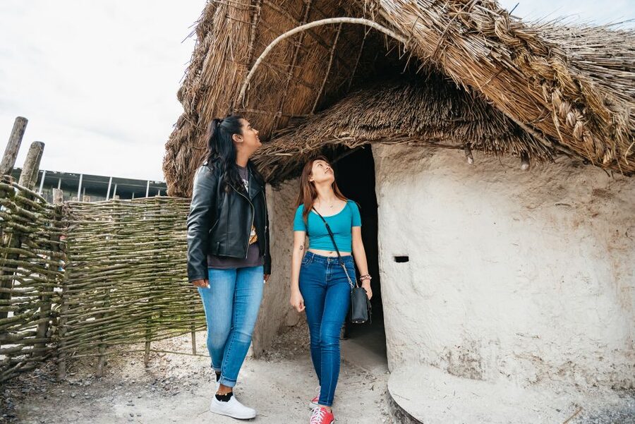 Stonehenge Admission Ticket - Outdoor gallery of reconstructed Neolithic houses, seeing daily life in place