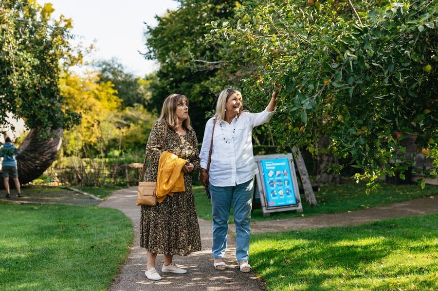 Stratford-upon-Avon: Anne Hathaway's Cottage Entry ticket - Practical value check: is $20.20 a fair deal for what you get?