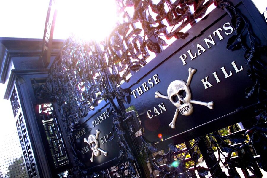 The Alnwick Garden: Entry Ticket - The Poison Garden tour, guided plant stories for £1.10pp