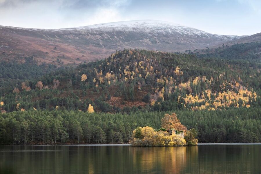 The Cairngorms, Culloden, and Speyside Whisky Tour - Clava Cairns and the view of Bronze Age Scotland