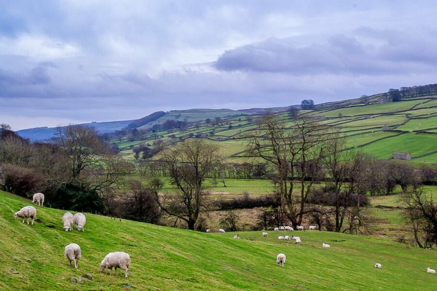 The Yorkshire Dales Tour from York - Bolton Castle: The Medieval Stop You Should Plan Around