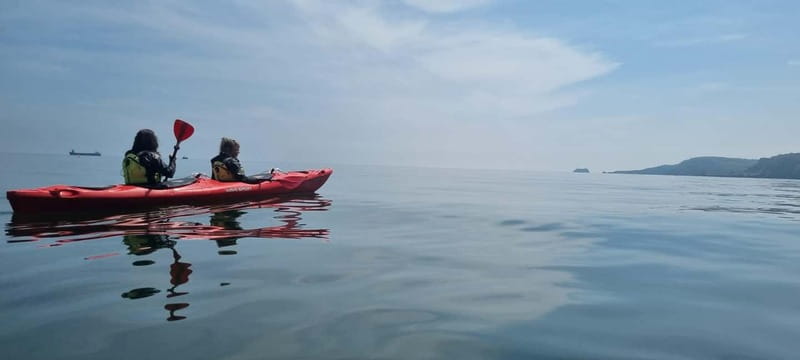 Torquay: Guided Wildlife, Bushcraft, Sea Cave Kayak Safari - Key highlights to know before you go