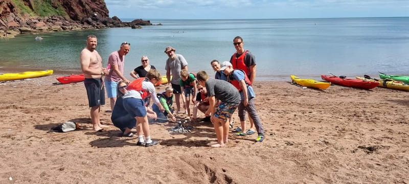 Torquay: Guided Wildlife, Bushcraft, Sea Cave Kayak Safari - Wildlife from a kayak: seals, cetaceans, and what to do if you miss them
