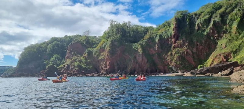 Torquay: Guided Wildlife, Bushcraft, Sea Cave Kayak Safari - What to bring, how to dress, and how not to regret your footwear
