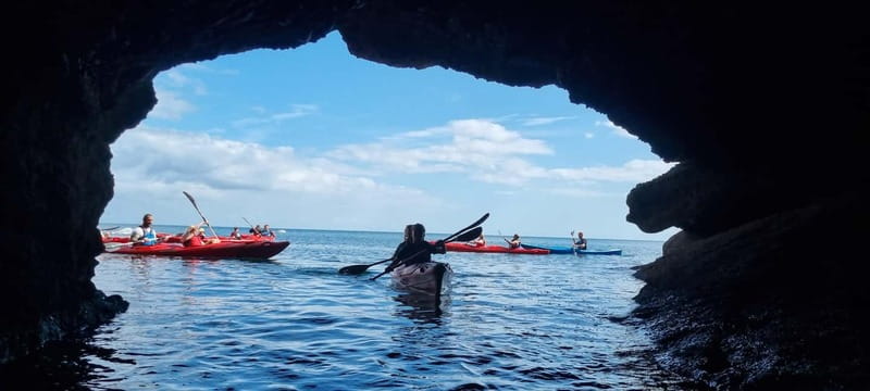 Torquay: Guided Wildlife, Bushcraft, Sea Cave Kayak Safari - Paddling caves and coves: the best part of the 3 hours