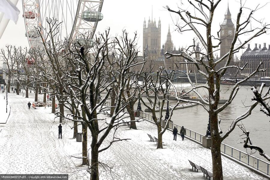 Tour of London and Christmas Day Lunch Cruise - Comfort and pacing: luxury coach, shared tables, and real-world waits