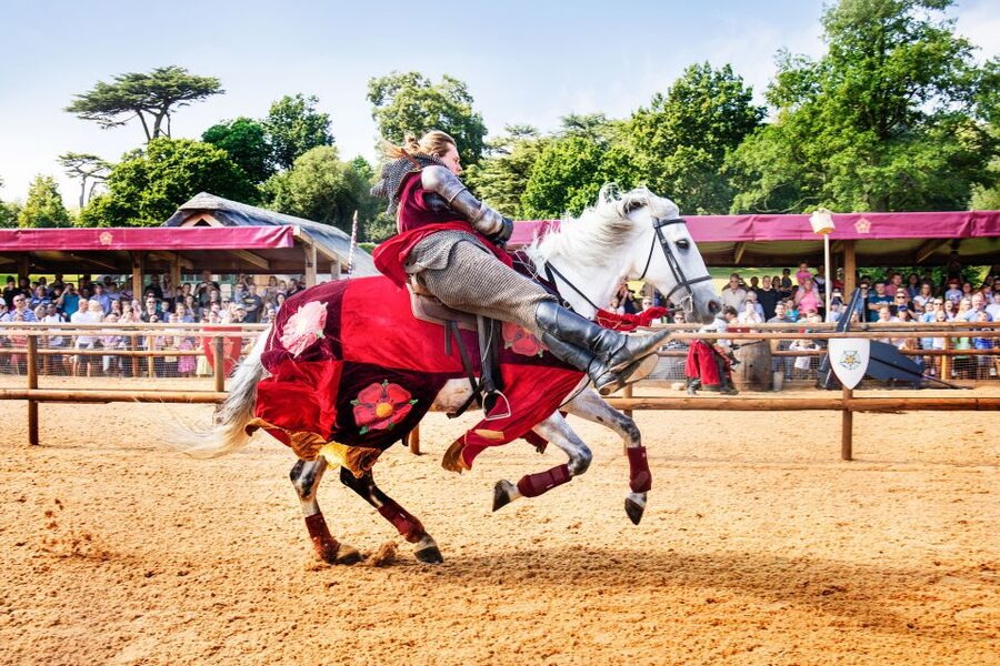 Warwick: Entry Ticket for Warwick Castle - Plan Your Day: Entry, Castle Defences, and the Maze