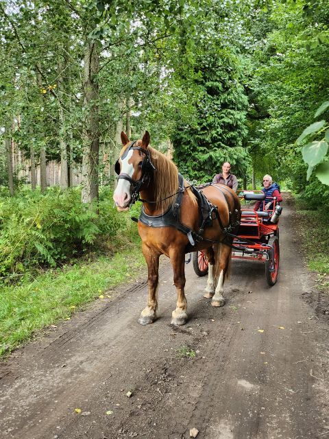 York: Horse Drawn Carriage Ride Around the Countryside York - Where the carriage ride starts in Skipwith, near York