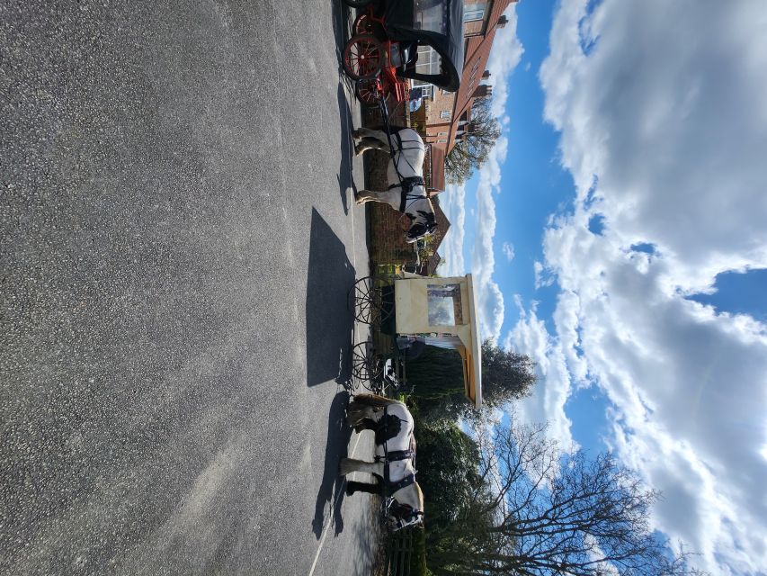 York: Horse Drawn Carriage ride & Cream Tea - Why This Skipwith Carriage and Cream Tea Works