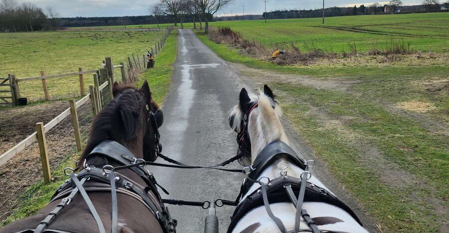 York: Horse Drawn Carriage ride & Cream Tea - Riding Through the Countryside: Views, Peace, and Wildlife Chances