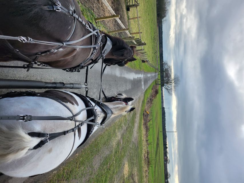 York: Horse Drawn Carriage ride & Cream Tea - Where You Start in Skipwith, and What the First Moments Feel Like