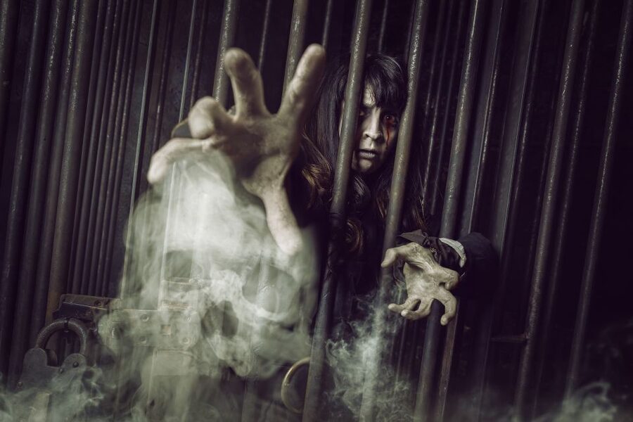 York: The York Dungeon Entry Ticket - Viking York to Guy Fawkes: the Gunpowder Plot segment you’ll remember